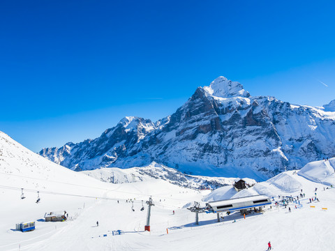 Schweiz, Kanton Bern, Grindelwald, Blick vom First auf Schreckhorn und Wetterhorn und Skipiste, lizenzfreies Stockfoto