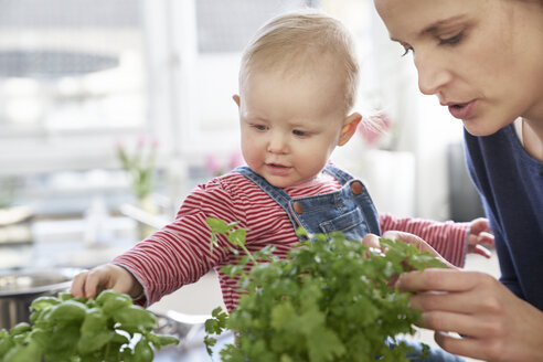 Mutter und kleines Mädchen untersuchen Kräuter in der Küche - FMKF03642