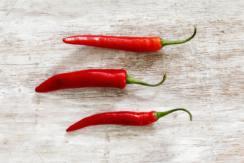 Red chili pods stock photo