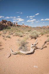 USA, Utah, Arches National Park, Devils Garden trail - EPF00410