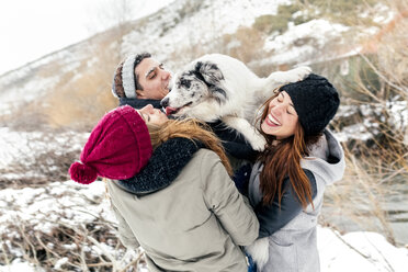 Drei Freunde haben Spaß mit einem Hund im Schnee - MGOF03084