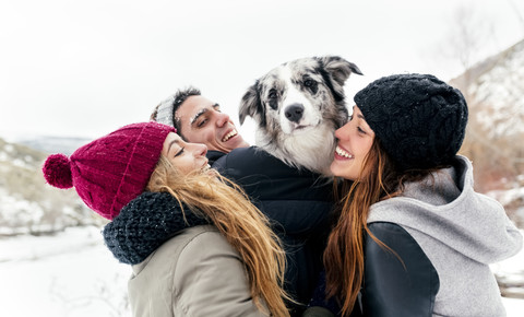 Drei Freunde haben Spaß mit einem Hund im Schnee, lizenzfreies Stockfoto
