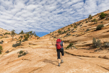 USA, Utah, Canaan Mountain, Hildale, hiking trip towards White Domes and Water Canyon, woman taking pictures of colored sandstone rocks - FOF09074