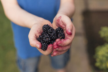 Blackberries in boy's hands - NMSF00012