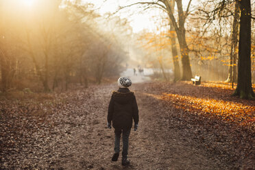 Boy walking through a sun drenched forest - NMSF00017