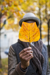 Männliche Hand hält Herbstblatt - MAUF01017