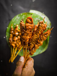 Hähnchen-Satay-Spieße und Bananenblatt - KSWF01785