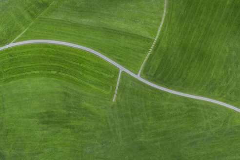 Empty country road, aerial view - MMAF00059