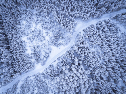 Austria, Gosau, aerial view of road through coniferous forest in winter - STCF00287