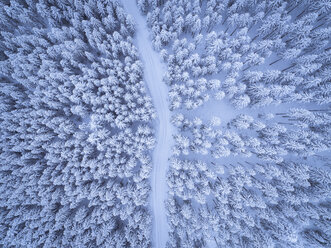 Austria, Gosau, aerial view of road through coniferous forest in winter - STCF00288