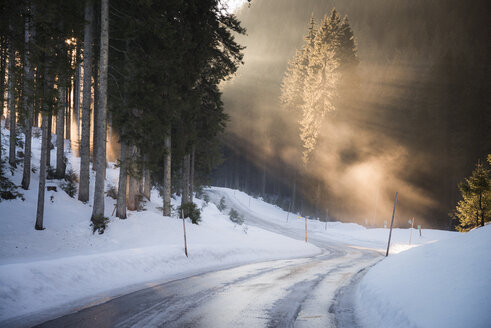 Austria, Salzkammergut, evening light on Postalm road - STCF00289