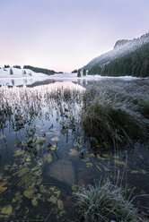 Österreich, Sankt Koloman, Seewaldsee im Winter - STCF00292