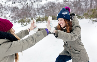 Zwei beste Freunde liefern sich einen Spielkampf im Schnee - MGOF03140