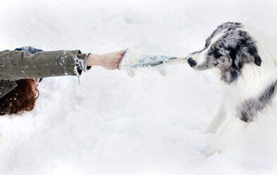 Junge Frau spielt mit ihrem Border Collie im Schnee - MGOF03144