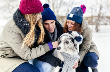 Three friends having fun their border collie in the snow - MGOF03149