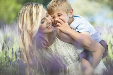 Glückliche Mutter mit Sohn im Lavendelfeld - ZEF13233