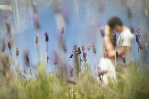 Romantisches Paar im Lavendelfeld, lizenzfreies Stockfoto