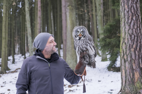 Tschechische Republik, Falkner hält Steinkauz, Strix nebulosa im Wald, lizenzfreies Stockfoto