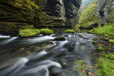 Czech Republic, Bohemian Switzerland, Ticha Souteska near Hrensko, River Kamnitz in the Edmundsklamm with sandstone cliffs - RUEF01763