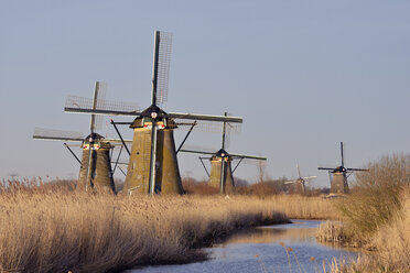 Niederlande, Südholland, Kinderdijk, Windmühlen an einer Gracht mit warmem Morgenlicht - RUEF01766