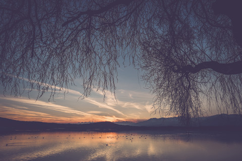 Italien, Lago Viverone bei Sonnenuntergang, lizenzfreies Stockfoto