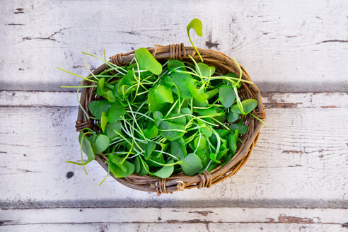 Wickerbasket of organic winter purslane on wood - LVF05967