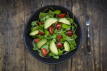 Salad of Indian lettuce with avocado and tomatoes - LVF05970