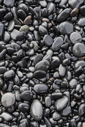 Wet pebbles - RAEF01777