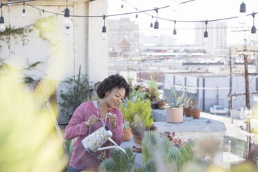 Woman watering her rooftop garden - WESTF22828