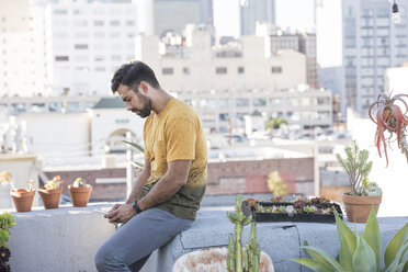 Junger Mann sitzt auf einer Dachterrasse und prüft Smartphone-Nachrichten - WESTF22871