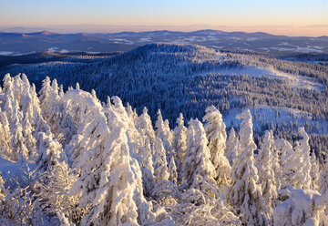 Deutschland, Bayern, Bayerischer Wald im Winter, Mittagsplatzl, Blick Großer Arber - SIEF07369