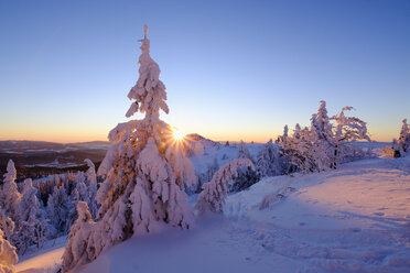 Deutschland, Bayern, Bayerischer Wald im Winter, Großer Arber, Sonnenuntergang - SIEF07373