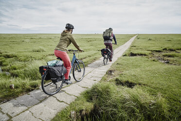 Deutschland, Schleswig-Holstein, Eiderstedt, Paar fährt mit dem Fahrrad durch Salzwiesen - RORF00733