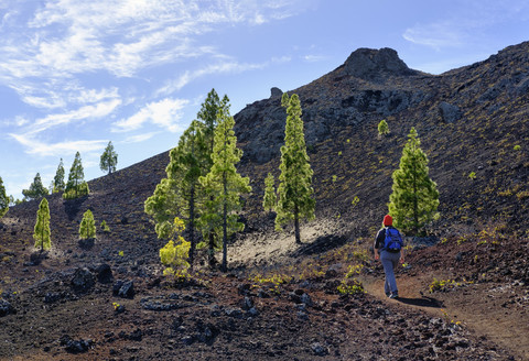 Spain, Canary islands, Tenerife, woman on hiking trail, Montana Negra or Volcan Garachico, near El Tanque stock photo