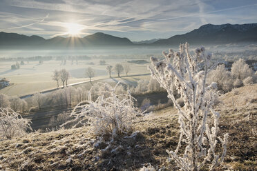 Deutschland, Bayern, Großweil, Sonnenaufgang im Winter - SIEF07389