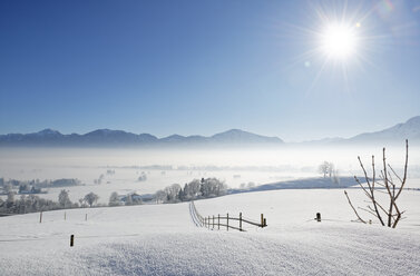 Deutschland, Loisachtal bei Großweil, Morgennebel über Loisachmoor - LHF00522