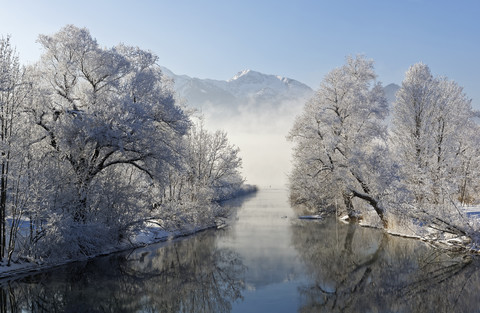 Deutschland, Bayern, Loisach bei Kochel am See, rostbedeckte Bäume mit Herzogstand im Hintergrund, lizenzfreies Stockfoto