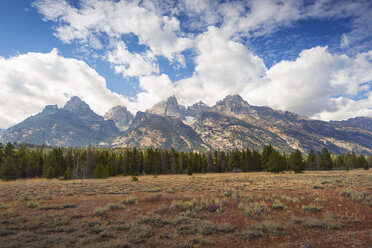 USA, Wyoming, Grand Teton National Park, Landschaften - EPF00424