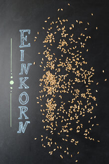 Einkorn Weizenkörner - MYF01897