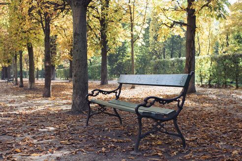 Leere Bank im Herbstpark - MOMF00032