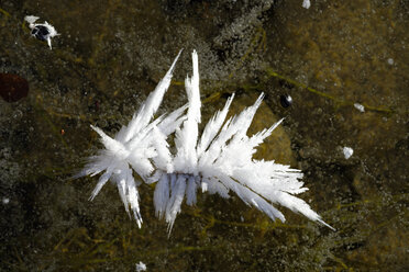 Ice crystals on frozen surface - SIEF07399