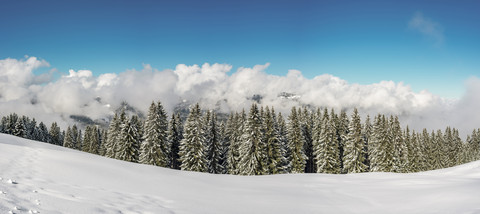 Österreich,Vorarlberg, Kleinwalsertal, Höhenweg im Winter, lizenzfreies Stockfoto