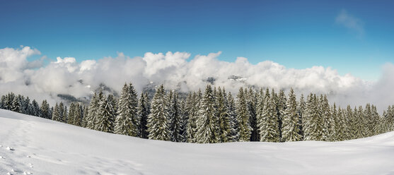 Österreich,Vorarlberg, Kleinwalsertal, Höhenweg im Winter - WGF01072
