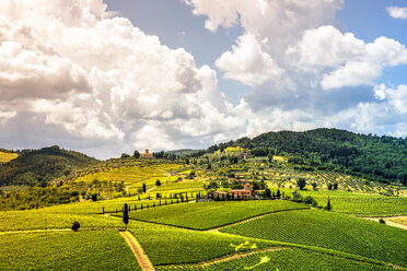 Italy, Tuscany, rolling landscape with vineyards - PUF00621