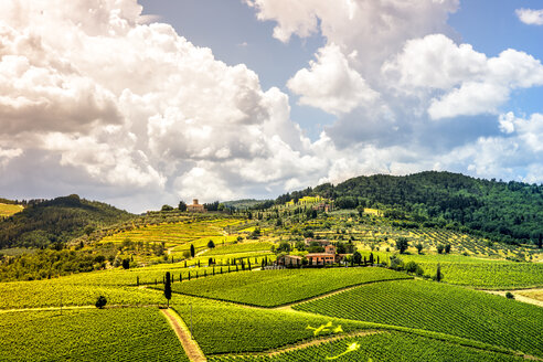 Italien, Toskana, Hügellandschaft mit Weinbergen - PUF00621