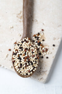 Löffel gemischte Quinoa - MYF01900