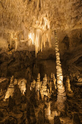 USA, New Mexico, Carlsbad Caverns - FOF09223