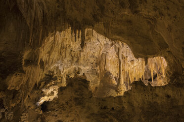 USA, New Mexico, Carlsbad Caverns - FOF09224