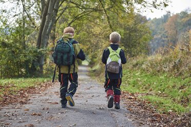 Rückenansicht von zwei kleinen Jungen mit Rucksäcken, die nebeneinander in herbstlicher Natur spazieren gehen - JEDF00284