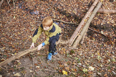 Jungen klettern am Hang im herbstlichen Wald - JEDF00288